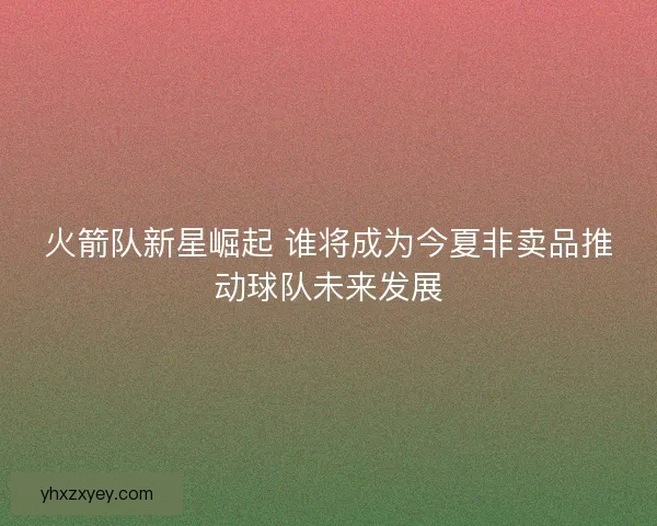 火箭队新星崛起 谁将成为今夏非卖品推动球队未来发展